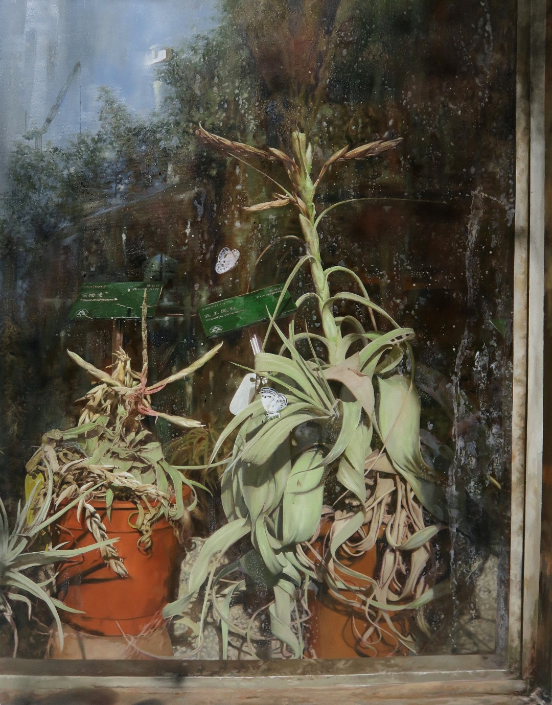 銀獎作品